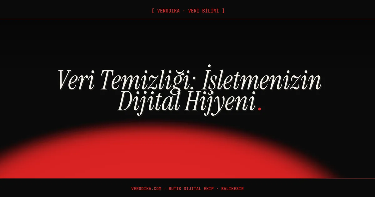 Veri Temizliği: İşletmenizin Dijital Hijyeni